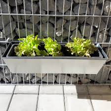 Der Zupfsalat Wachst Und Gedeiht Heute Starten Wir Die Ernte Dank Gabioka Flowerbox Geht Das Ganz Unkompliziert An Ihrem Zaun Aus Doppelstabmatten Oder G I 2020