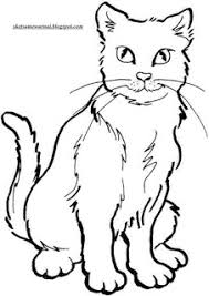 Cara menggambar dan mewarnai kucing cantik bagus youtube. Kucing Untuk Mewarnai Gambar Mewarnai Hd
