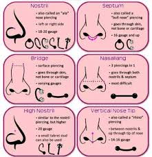 14 Piercing Charts You Wish You Knew About Sooner Piercing Chart Nose Piercing Tips Types Of Piercings