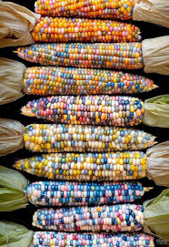 Forever C Est Pour Les Reveurs Fruits Et Legumes Epis De Mais Alimentation
