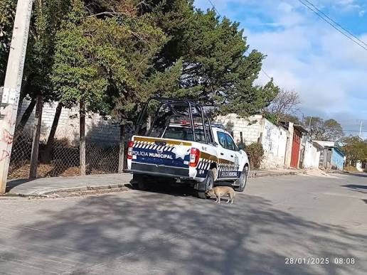 Delincuentes robaron un vehículo en Las Margaritas en segundos | CityTv