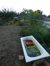 oud bad als koelkast gebruiken tuin bad
