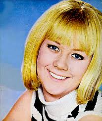 TAGG The Alternative Gig Guide Australia