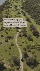 Image result for Maerua cafra