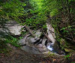 Photo Turkey Run State Park Indiana 5 Wunderground Com Turkey Run State Park State Parks Us Vacation Spots