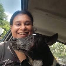 Delhi's Supreme Court directive: Remove 500k stray dogs in 6 weeks