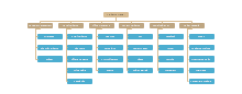 Top 5 Restaurant Organizational Chart Examples