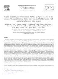 Ro, după ce ordonanța de urgență a guvernului ce conține măsura a fost oficializată marți. Pdf Faunal Assemblages Of The Mussel Mytilus Galloprovincialis In And Around Alsancak Harbour Izmir Bay Eastern Mediterranean With Special Emphasis On Alien Species