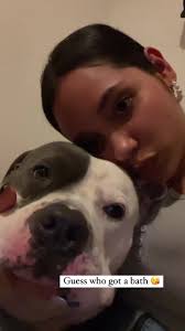 The goodest boy ever🥹, bludie pie 🥧