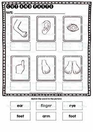 Use this 'cut and paste: Label The Pictures Worksheets Body Parts Cut And Paste Printables
