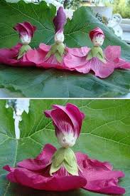 Flowers are one of the most beautiful creations of nature. 40 Times People Experienced Pareidolia And Captured It For Everyone To See Hollyhocks Flowers Strange Flowers Unusual Flowers