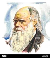 Natural history of the human species hi-res stock photography and images