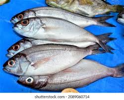 Image result for Boops boops