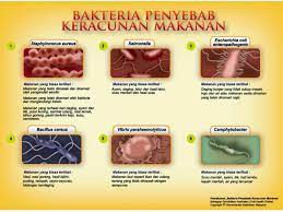 Juga dikenali sebagai penyakit melalui makanan ialah keadaan yang disebabkan oleh pemakanan makanan yang lihat juga punca cirit birit selain keracunan makanan. Kenyataan Akhbar Kpk 21 Oktober 2018 Status Terkini Kejadian Keracunan Makanan Di Kedah Perak Dan Selangor Pada 21 Oktober 2018 From The Desk Of The Director General Of Health Malaysia