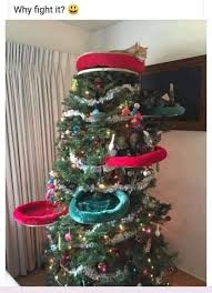 Profile for Fur Babies Rescue