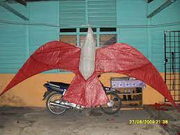 Mesti anda pernah ingat watak sang merah, sang helang, raja utara, penyelamat dunia, ratu syurga barat dll. Helang Merah Winston Wau Helang Seri Cheding Flickr