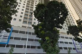 5.0 from 1 verified review. Centrio Avenue For Sale In Bukit Gambier Propsocial