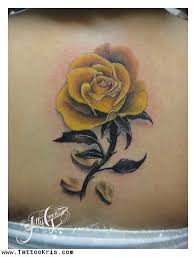 Pin On Roses