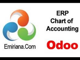 Chart Of Accounts Odoo English