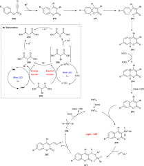 Fpb dari 48, 72, dan 96 adalah. Alkynoates As Versatile And Powerful Chemical Tools For The Rapid Assembly Of Diverse Heterocycles Under Transition Metal Catalysis Recent Developments And Challenges Springerlink