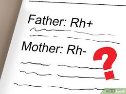 how to determine positive and negative blood types 8 steps