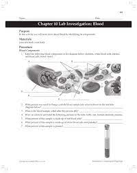 Chapter 10 Lab Activity