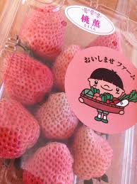 Japanese candy, cute stationery, kawaii plushies & unique gifts with free shipping! Pink Kawaii Japanese Snacks Novocom Top