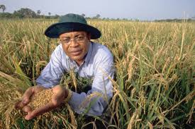 Anda ingin menanam benih padi secara cepat & mudah? Pertanian Afrika Selatan Pada Stage Dunia Jaringan Petani Global