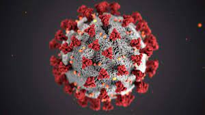 India y reino unido han visto como la variante delta comienza a invadirlos, pero la llegada de la variante a nuestra nación es algo que tiene con las. Mutation Des Coronavirus Delta Variante Im Kreis Boblingen Angekommen Stadt Und Kreis Boblingen Kreiszeitung Boblinger Bote