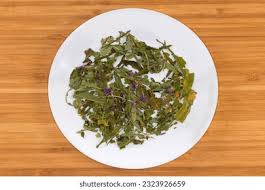 Image result for Ocimum angustifolium