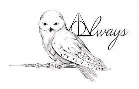 A Tattoo Design For A Friend Based On Hedwig From Harry Potter Harrypottertattoos Harry Potter Owl Tattoo Harry Potter Harry Potter Drawings