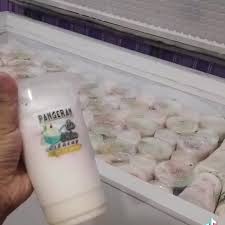 Un juego es una actividad desarrollada por uno o más individuos, cuyo propósito inmediato es entretener y divertir. Pangeran Estelercilacap Posts Facebook