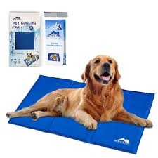 Alibaba.com offers 3,631 pet cooling pad products. Amazon Com Whalek Pet Cooling Mat Pet Cooling Pad Dog Self Cooling Mat Pad For Kennels Crates And Beds For Large Dogs Dog Cooling Mat Cool Dog Beds Cat Bed