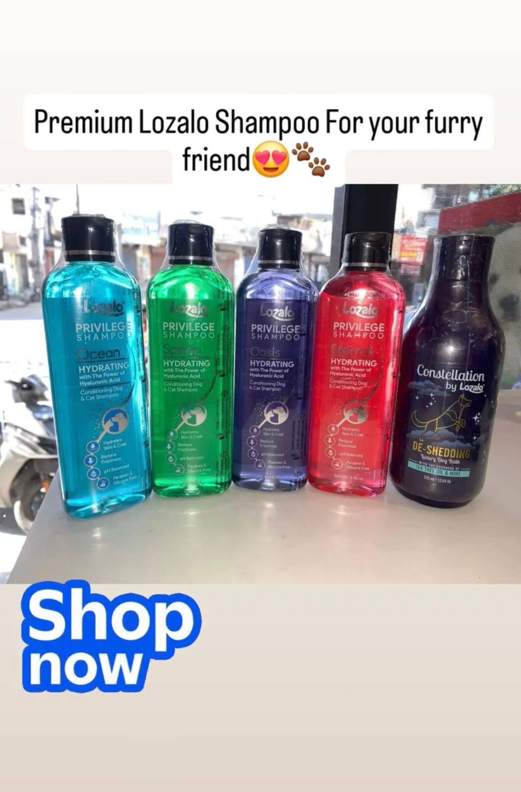 lozalo shampoo for dogs product image