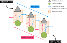 Frontiers Auditory Mismatch Negativity Under Predictive Coding Framework And Its Role In Psychotic Disorders Psychiatry