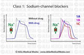 Image result for Sodium Channel Blocker