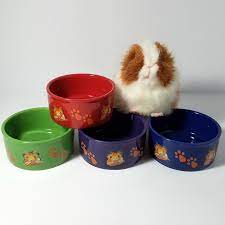 We bring you the guinea pig ceramic food bowl from our factory. Large Ceramic Guinea Pig Dish 4 25