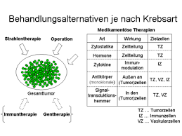 Wir sollen für den geschichtsunterricht heruasfinden, seit wann es eisen gibt. Krebs Medizin Wikipedia
