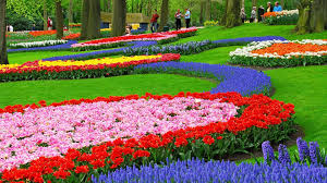 Here you can find different types of flower photos, among them red flowers, white flowers, rose flowers, spring flowers, flower wallpapers and other flower images. Pc Flower Garden Wallpapers Sherwood Sanderlin P 1920x1080 Wallpaper Teahub Io