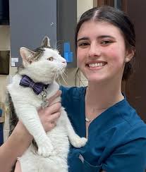 Experienced Veterinarians