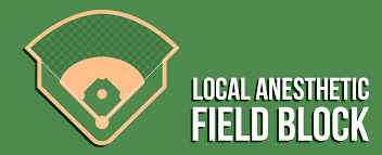 Image result for Field Block