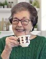 Thomas Vincent Steppe