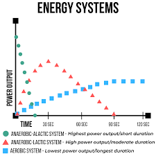 The anaerobic lactic system is possibly the most misunderstood energy system of the three. How To Program The Most Effective Cardio For Your Clients Energy Syst