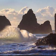 The Oregon Coast Oregon Travel Places To Go Oregon Coast