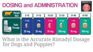 what is the accurate rimadyl dosage for dogs and puppies