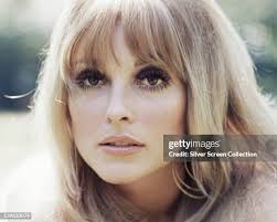 900 Of Sharon Tate Photos & High Res Pictures