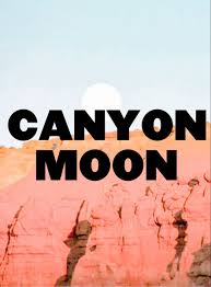 So i keep thinking back to a time under the canyon moon. Canyon Moon Harry Styles Wallpaper Harry Styles Pictures Harry Styles Poster