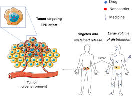 Nanotechnology Application In The Treatment Of Cancer Tumor Targeting Download Scientific Diagram