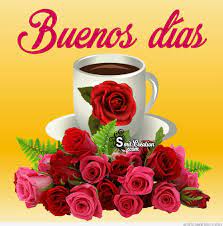 Pot marigold is not a true marigold. 17 Buenos Dias Spanish Images Pictures And Graphics Smitcreation Com