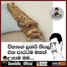 Like any good book and movie franchise, harry potter has inspired countless funny jokes that are sprinkled throughout the internet like floo powder. à¶…à¶± à¶¶ à¶­à·€ à¶¯à·€à·ƒ 13 à¶º à¶´ à¶» à¶± Followbacknow Followers Liketofollow Likeme Jokes Jokememe Likeforlikeback Goon Jokes Photos Jokes Funny Jokes